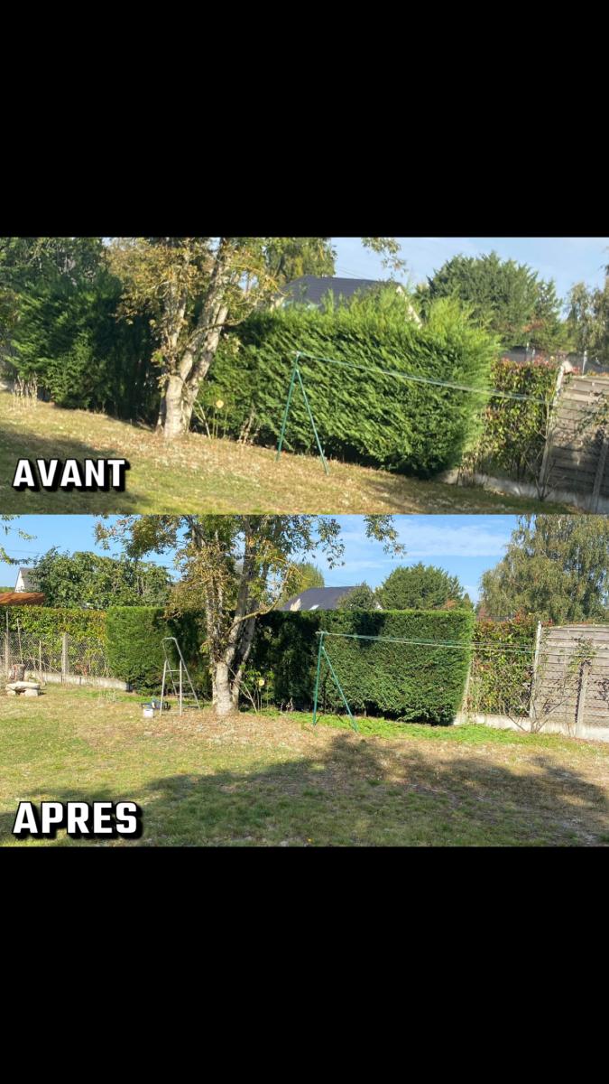 Taille de haies à Sully-sur-Loire