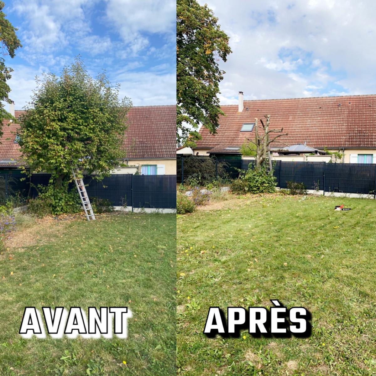 Élagage à Pithiviers