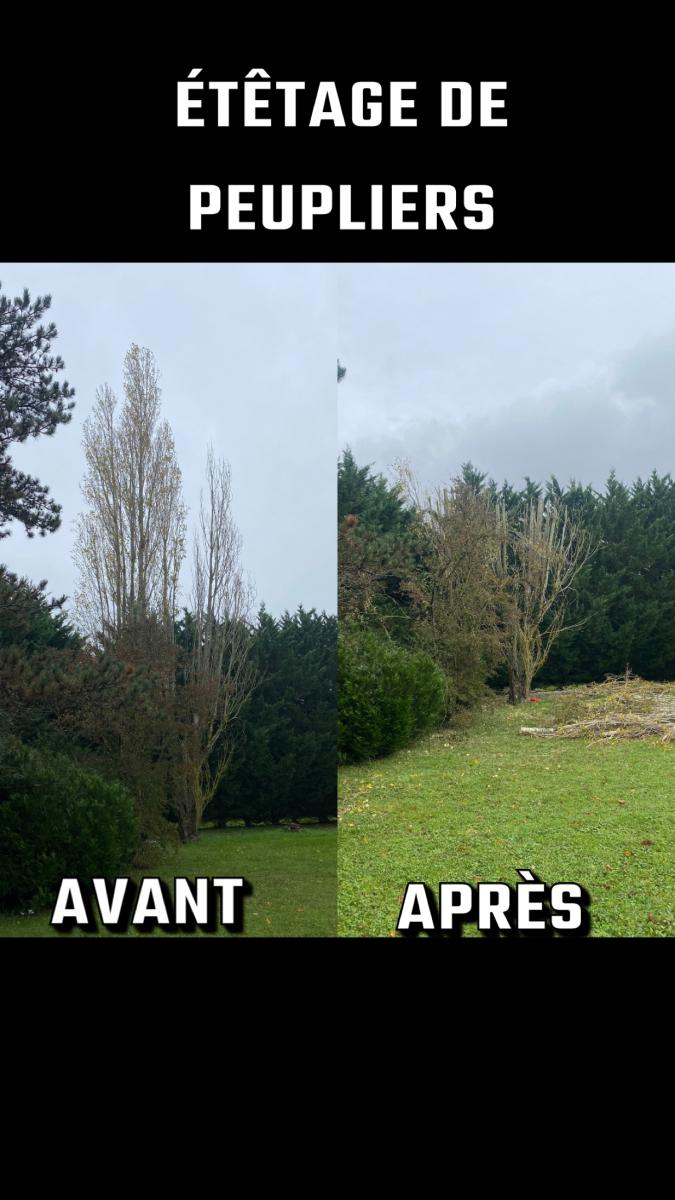 Élagage à Amilly