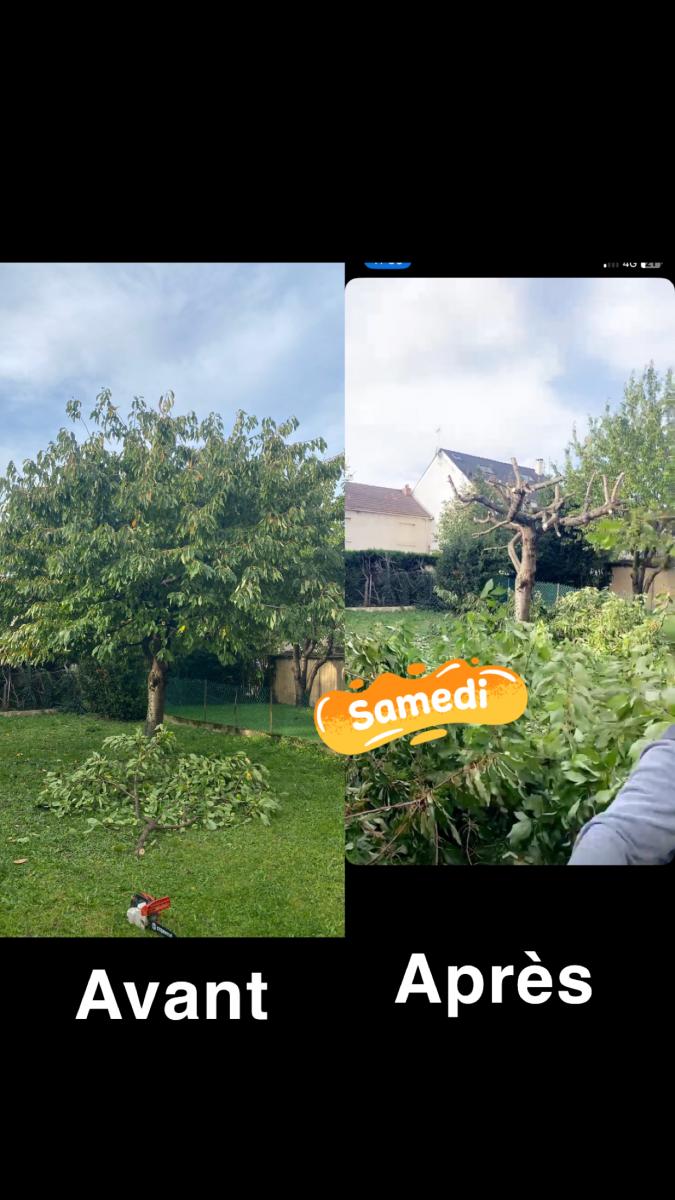 Élagage à Pithiviers