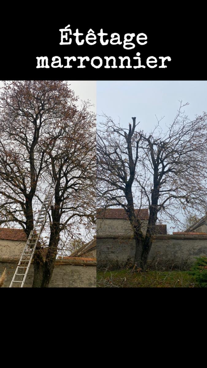 Élagage à Châteauneuf-sur-Loire